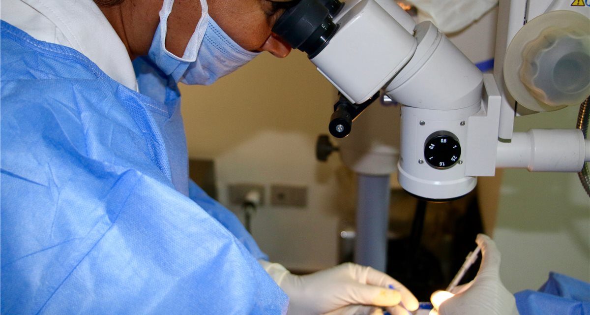 Intravitreal Injection Therapy: The Procedure Behind the Molecule